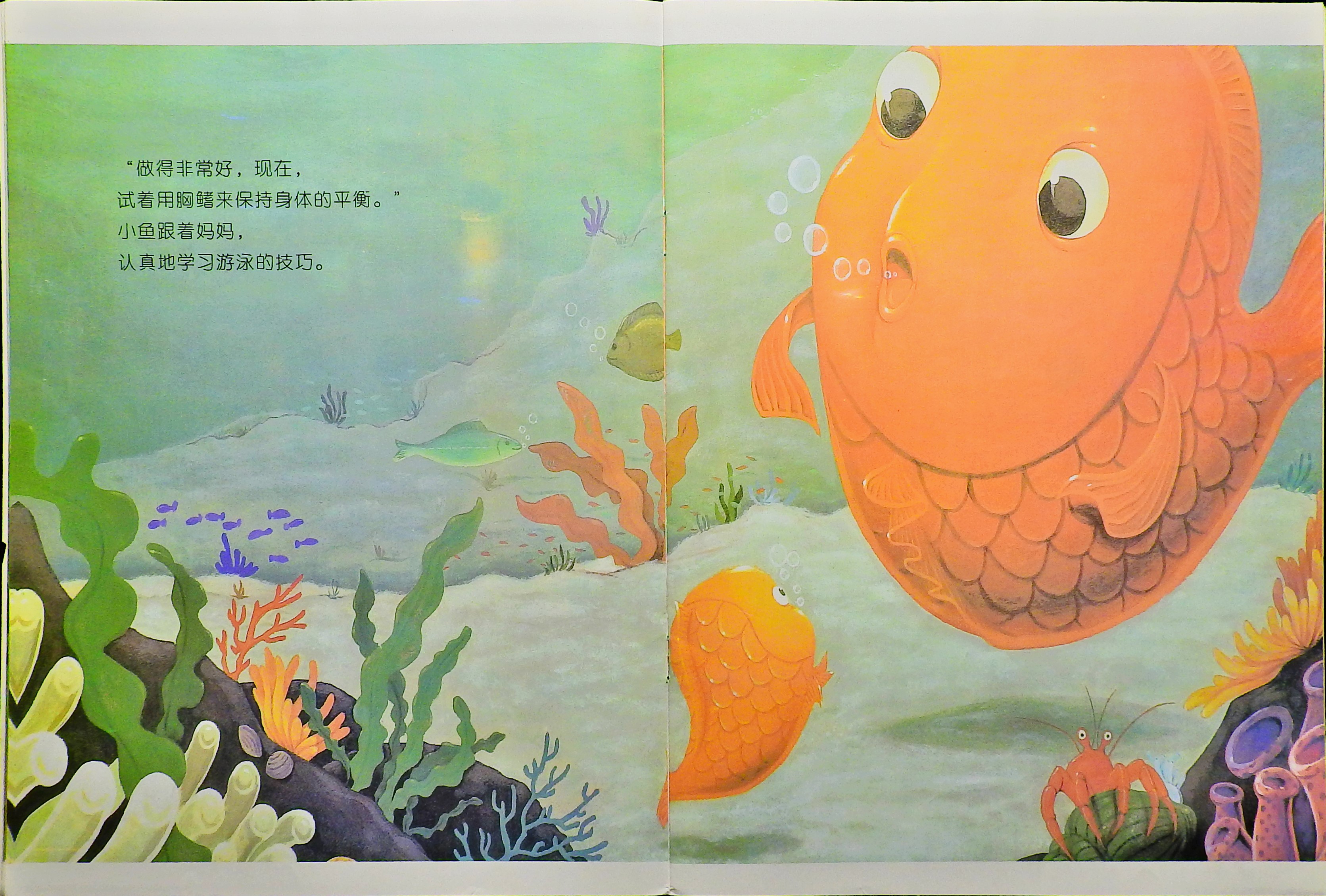 小鱼快跑 (07),绘本,绘本故事,绘本阅读,故事书,童书,图画书,课外阅读